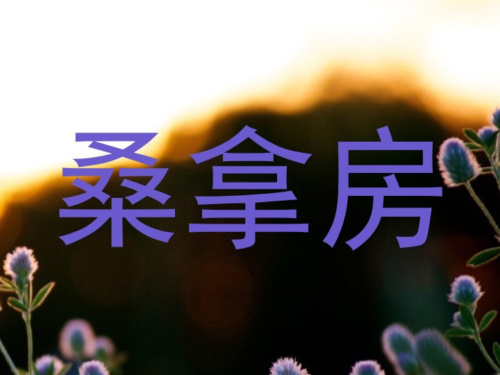 桑拿房