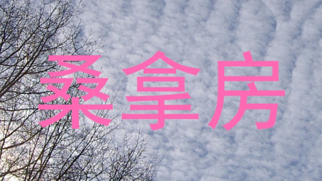 桑拿房