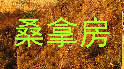 桑拿房