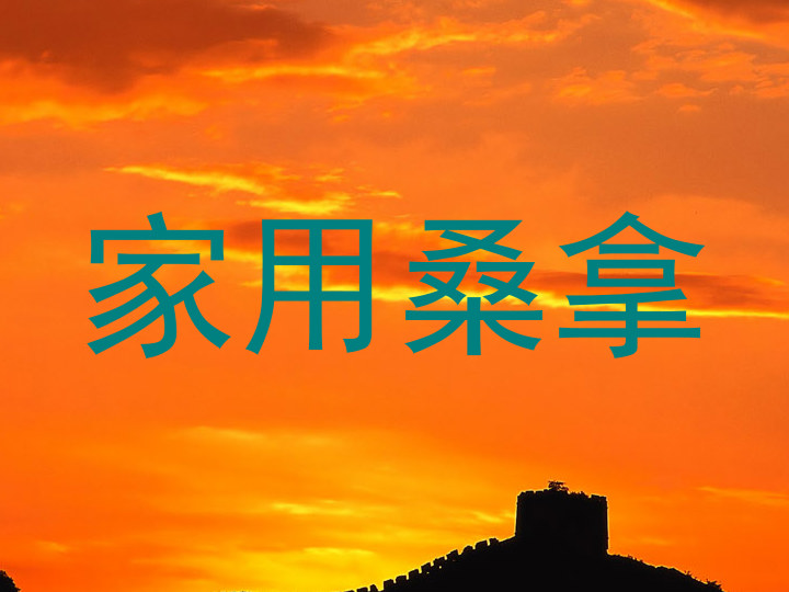 家用桑拿