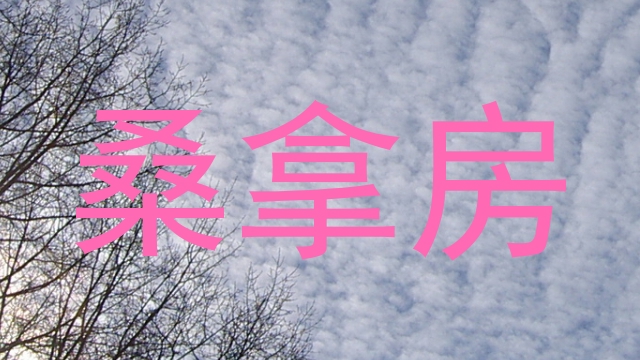 桑拿房