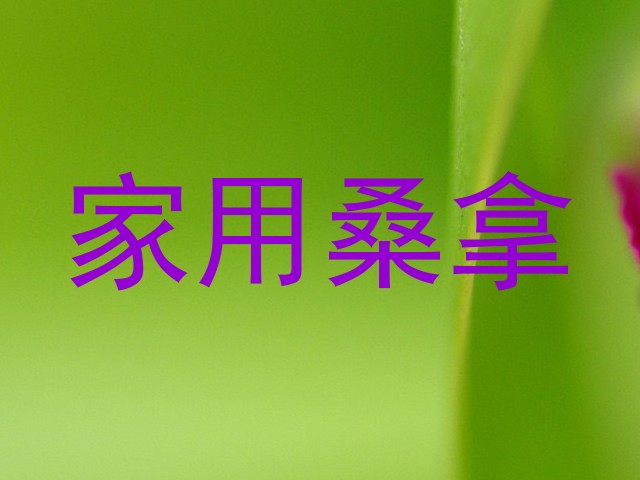 家用桑拿