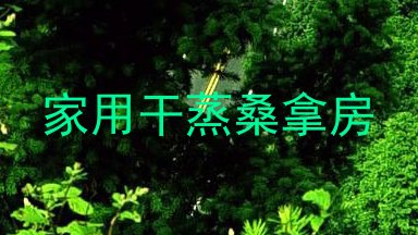 家用干蒸桑拿房