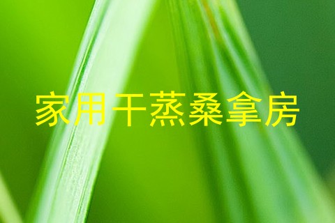 家用干蒸桑拿房
