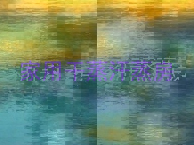 家用干蒸汗蒸房