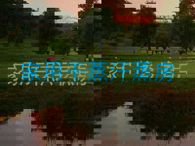 家用干蒸汗蒸房