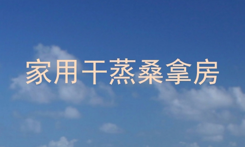 家用干蒸桑拿房