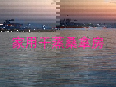 家用干蒸桑拿房