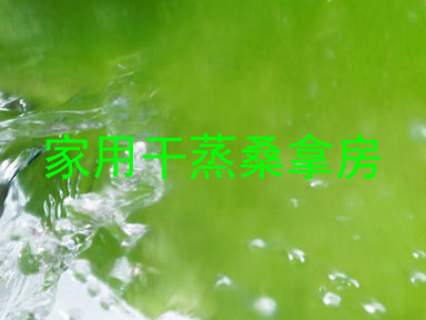 家用干蒸桑拿房