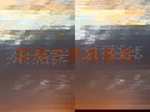 家用干蒸桑拿房