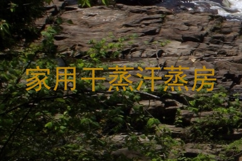 家用干蒸汗蒸房