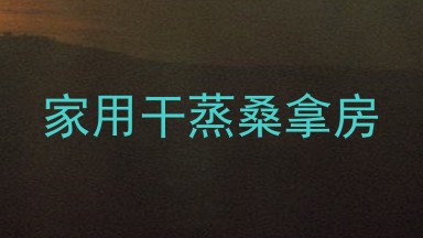 家用干蒸桑拿房