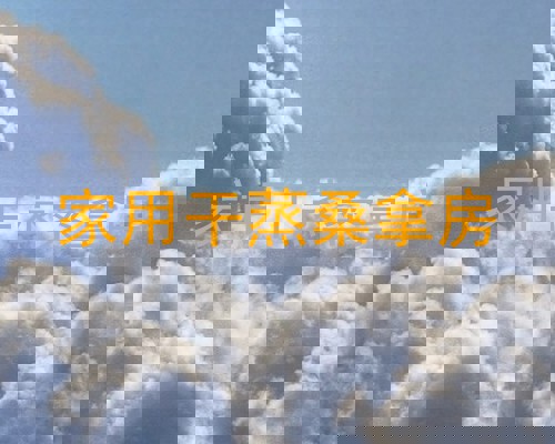 家用干蒸桑拿房