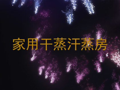 家用干蒸汗蒸房