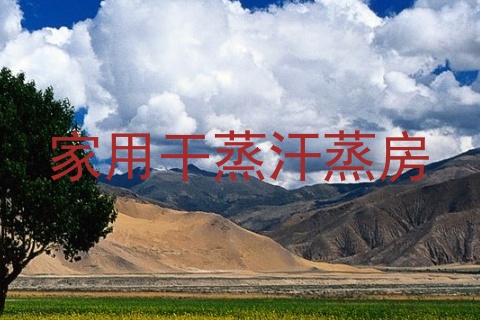 家用干蒸汗蒸房