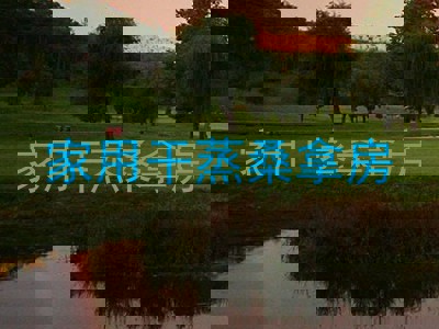 家用干蒸桑拿房