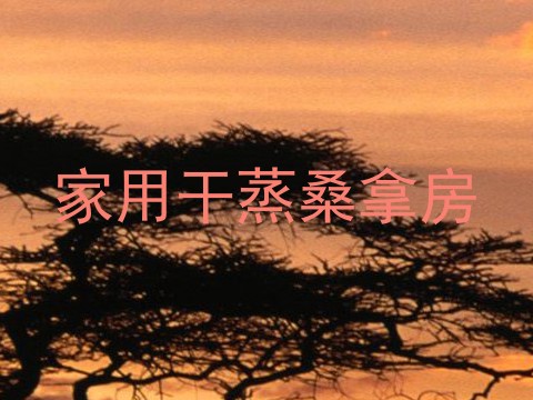 家用干蒸桑拿房