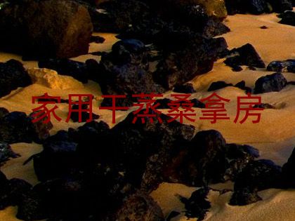 家用干蒸桑拿房