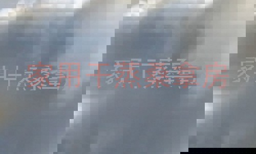 家用干蒸桑拿房