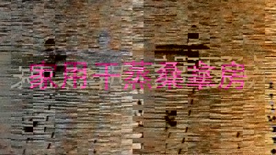 家用干蒸桑拿房