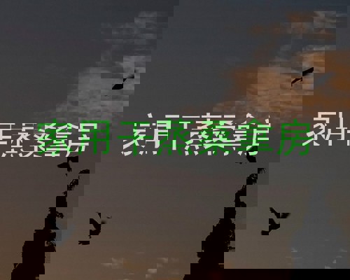 家用干蒸桑拿房