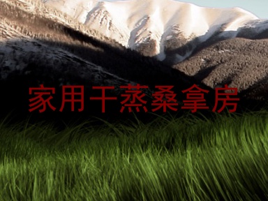 家用干蒸桑拿房