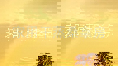 家用干蒸桑拿房