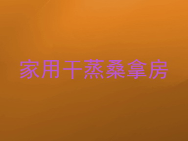 家用干蒸桑拿房