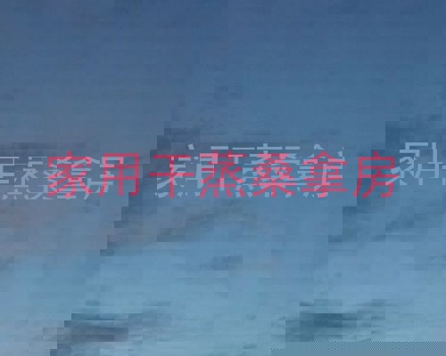 家用干蒸桑拿房