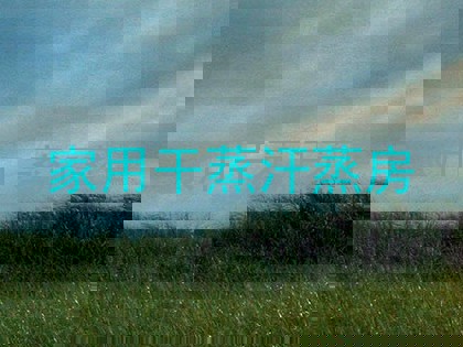 家用干蒸汗蒸房