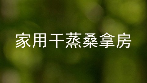 家用干蒸桑拿房