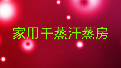 家用干蒸汗蒸房