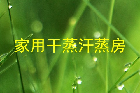 家用干蒸汗蒸房