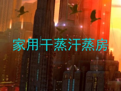 家用干蒸汗蒸房