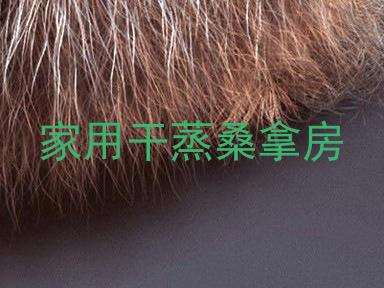 家用干蒸桑拿房