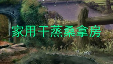 家用干蒸桑拿房