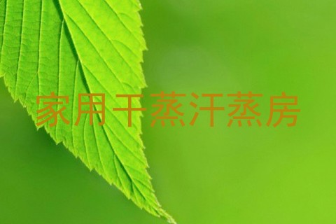 家用干蒸汗蒸房