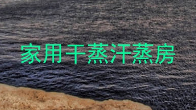 家用干蒸汗蒸房