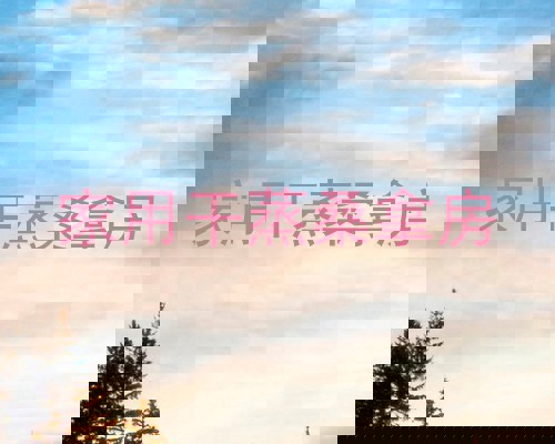 家用干蒸桑拿房