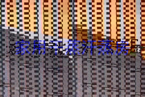 家用干蒸汗蒸房