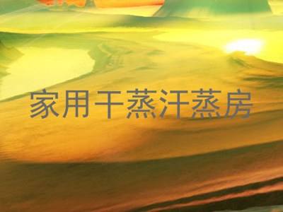 家用干蒸汗蒸房