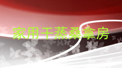 家用干蒸桑拿房