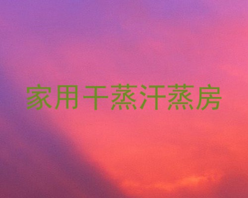 家用干蒸汗蒸房