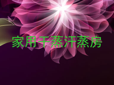 家用干蒸汗蒸房