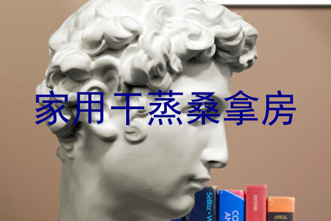 家用干蒸桑拿房