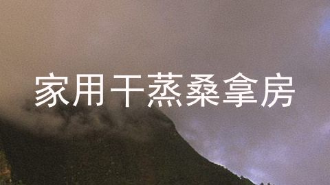 家用干蒸桑拿房