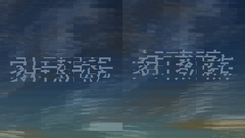 家用干蒸汗蒸房