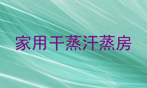 家用干蒸汗蒸房