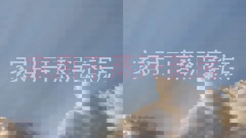 家用干蒸汗蒸房