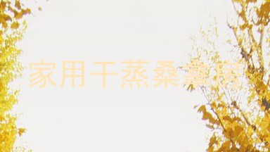 家用干蒸桑拿房